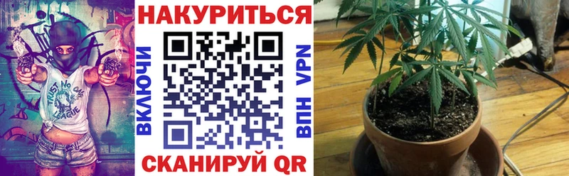 где продают   Нягань  Канабис индика 